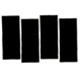 BlackFlag