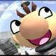 Wii Mii