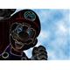 Wii_Man876 