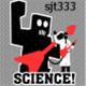 sjt333