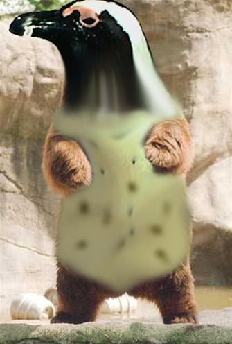 Penguin Bear