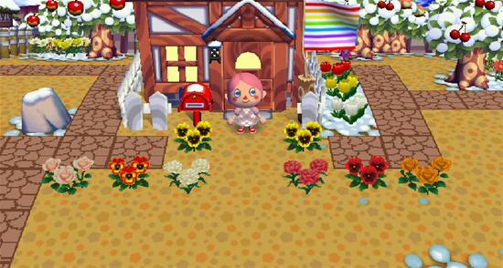 New frontyard :P