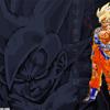 SSGoku DBZ