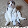 i can has walkthrough?