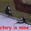 Fight
