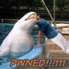 PWN3D
