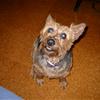 My Doggy!