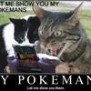 My pokemans