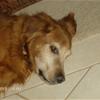 My Doggy!