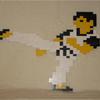Kung Fu Lego