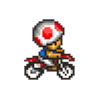 toad on his motercycle