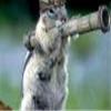 Squirrle Warfare