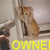 owned