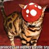 No Princess