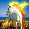 real rapidash