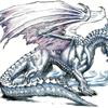 my drawing