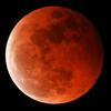 lunar eclipse!!!