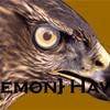 Hawk Banner