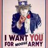 Uncle Moose