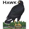 My Avatar For Halo Clan