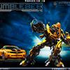 Bumblebee desktop