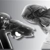 Wii vs PS3