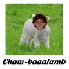 Cham-Baaalamb