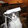 cat playing wii