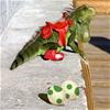 A Real Live Yoshi