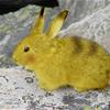 Real-Life Pikachu