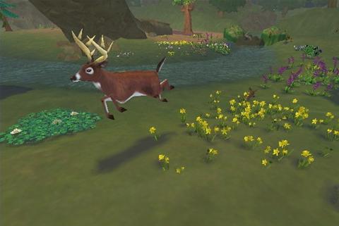 SimAnimals