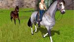 Barbie Horse Adventures