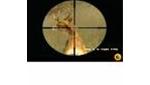 Cabela's Big Game Hunter