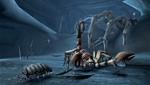 Deadly Creatures