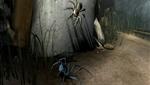 Deadly Creatures