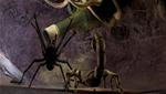 Deadly Creatures