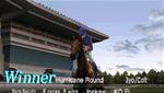 G1 Jockey
