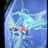 Get Off Me Suicune