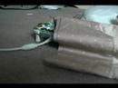 Robo plays Xbox 360