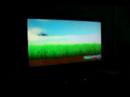 Wii 