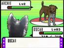 Pokematt Stupid Version