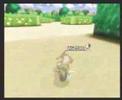 Retro Peach Gardens 2:04:297*