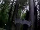 Freemasons (Satanists, Illumanati) ritual caught on tape