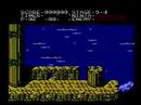 NES Ninja Gaiden speed run