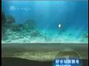 WiiWare - Blue Oasis - Trailer