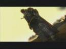 'Destiny'