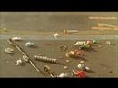 Wii Video - Harry Potter Order of the Phoenix- Wii TV ad