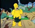 The best of Homer Simpson - Season 1