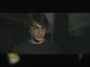 Gay Harry Potter
