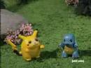 Adult Swim- Pokemon